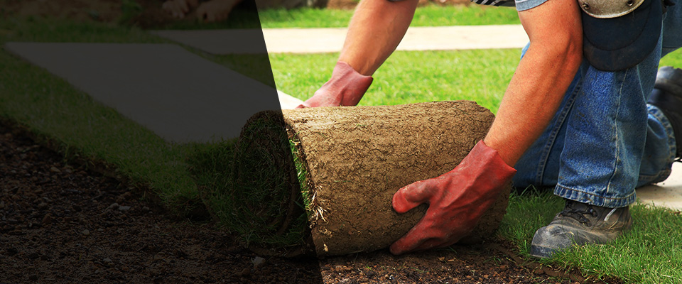 Brookfield Landscapers